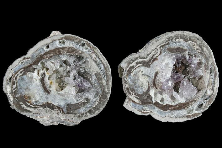 Las Choyas Coconut Geode with Amethyst Crystals - Mexico #165572